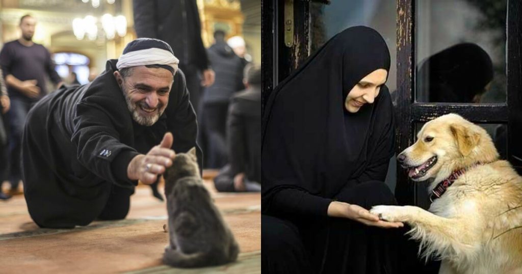 Here Are All The Reasons Why Cats Are Preferred Over Dogs In Islam And Every Muslim Should Know This