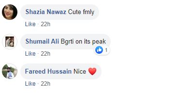 Pakistani celebrities hira mani trolls