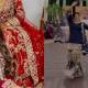 Pakistani Woman’s Divorce Celebration Goes Viral